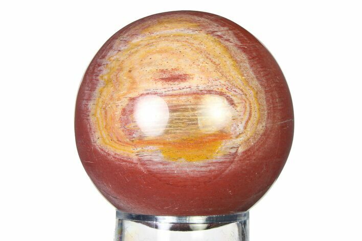 Colorful Petrified Wood (Araucaria) Sphere - Madagascar #317291